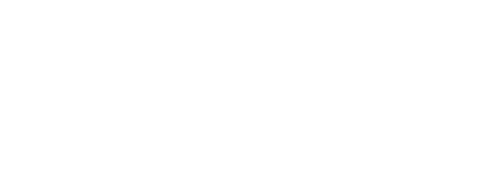 EchoHa